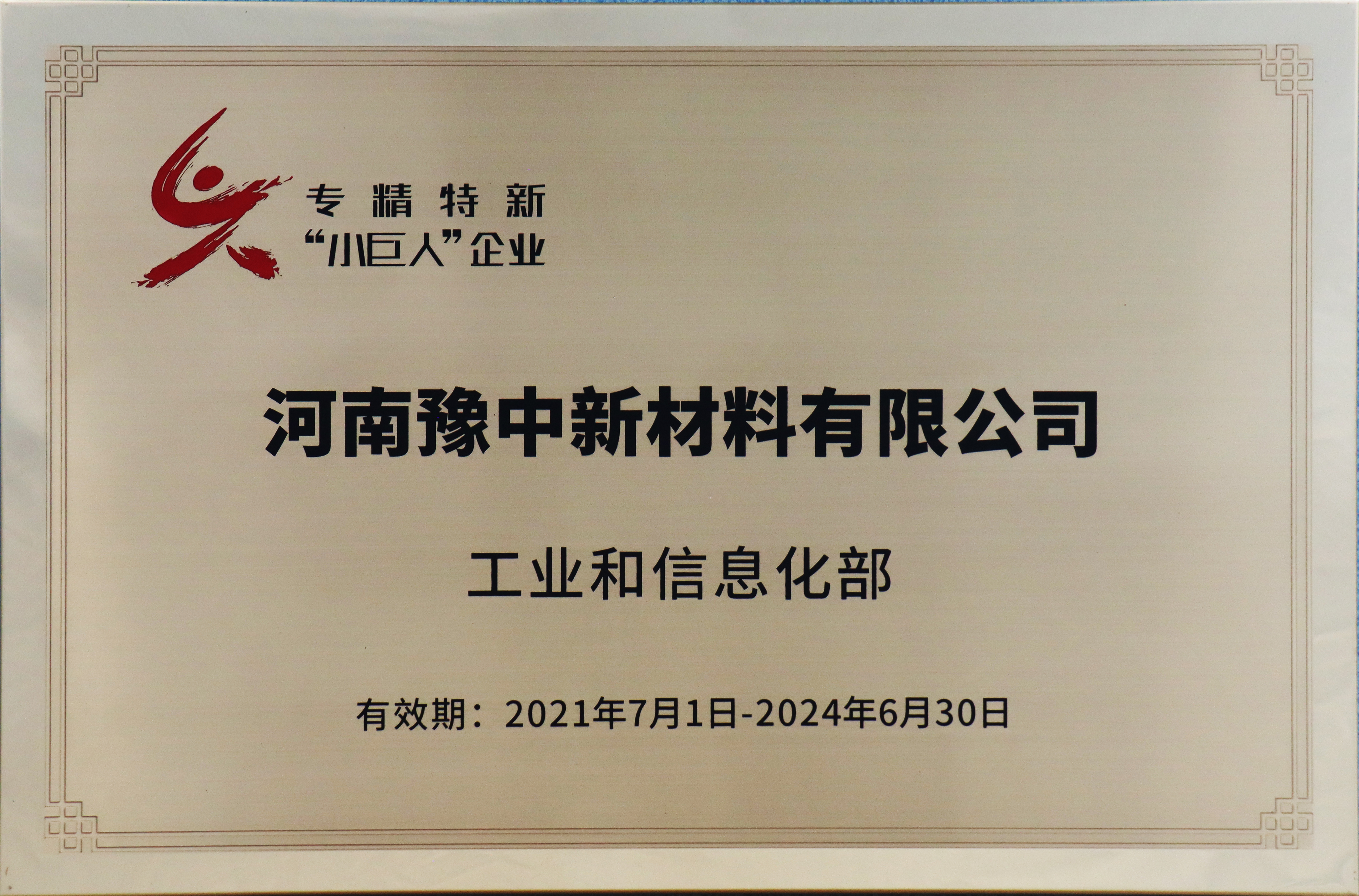 全國(guó)“專精特新”小巨人企業(yè)